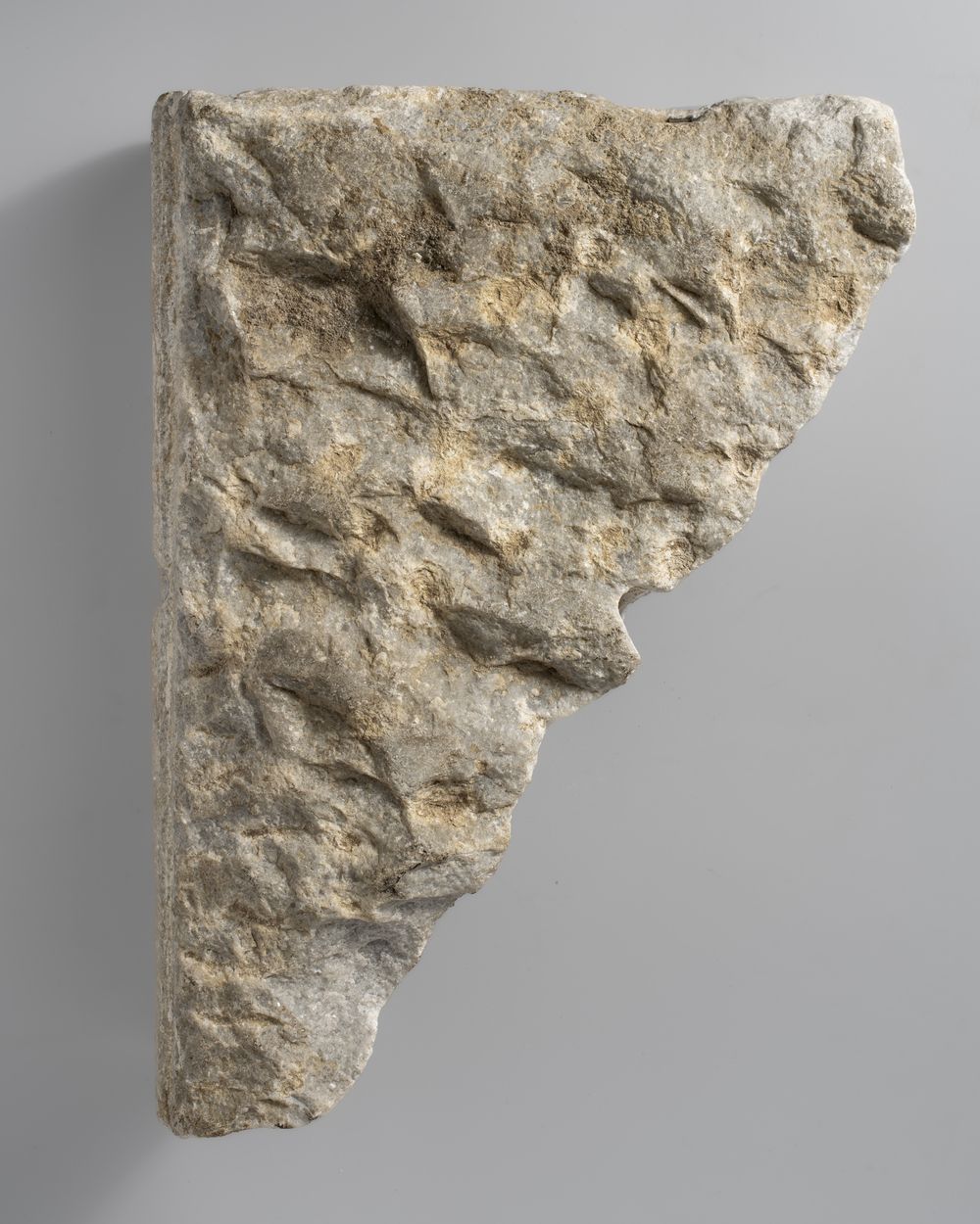 Fragment de pilastre orné
(il s’agit d’un fragment du pilastre inventorié Ra 23 h)