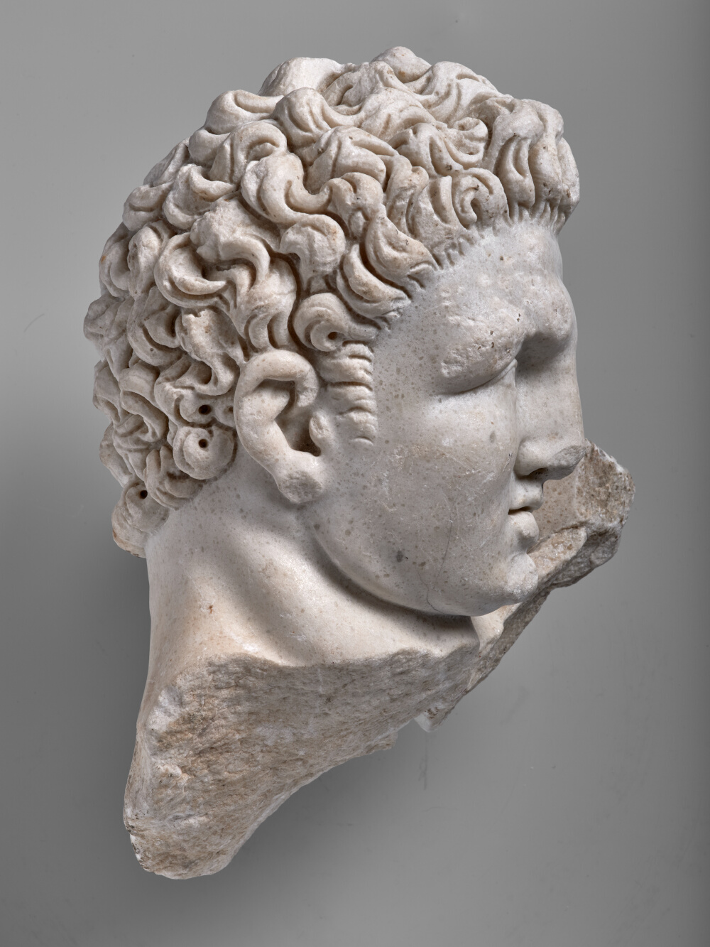 Tête nue d’Hercule