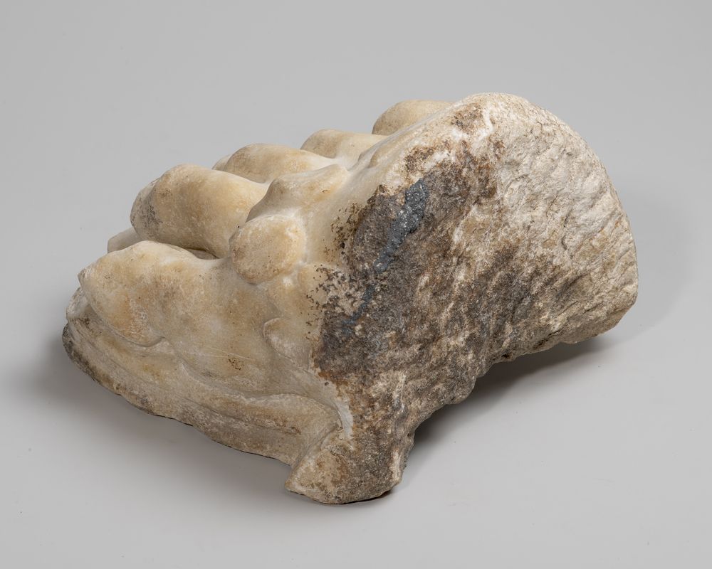 Extrémité d’un pied droit chaussé