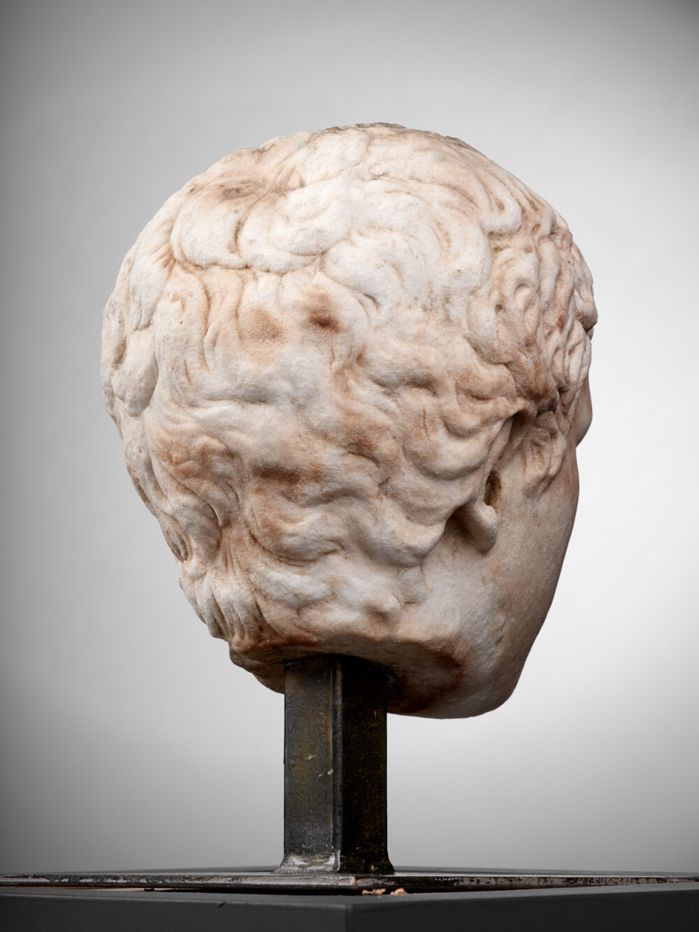 Tête de jeune garçon (C. Fulvius Plautus Hortensianus ?)