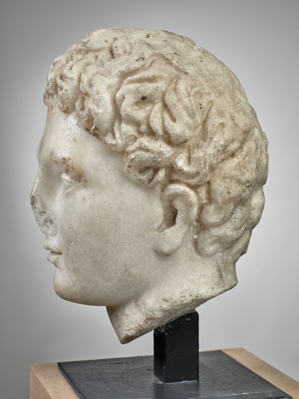 Tête de Mercure (?)