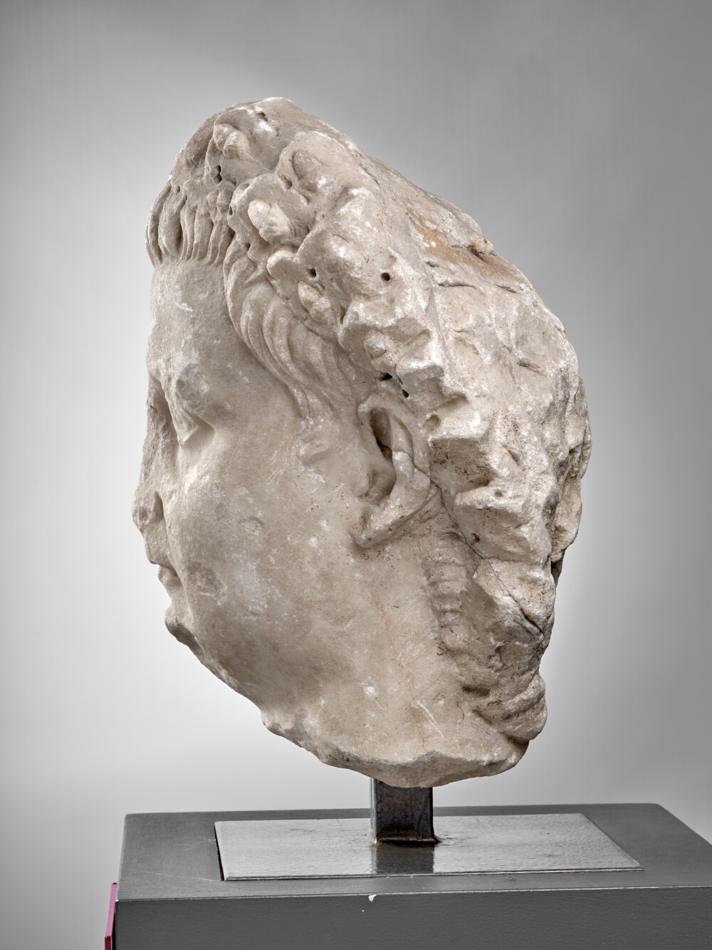 Tête de Tibère couronné de chêne