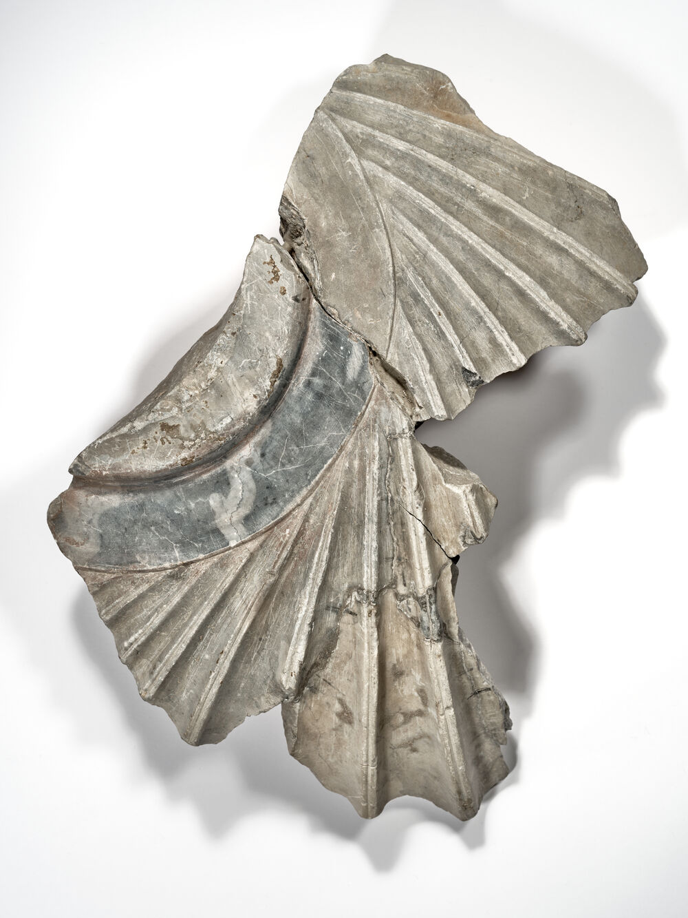 Fragments d’un bassin